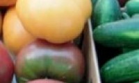 Healthy Food Retail